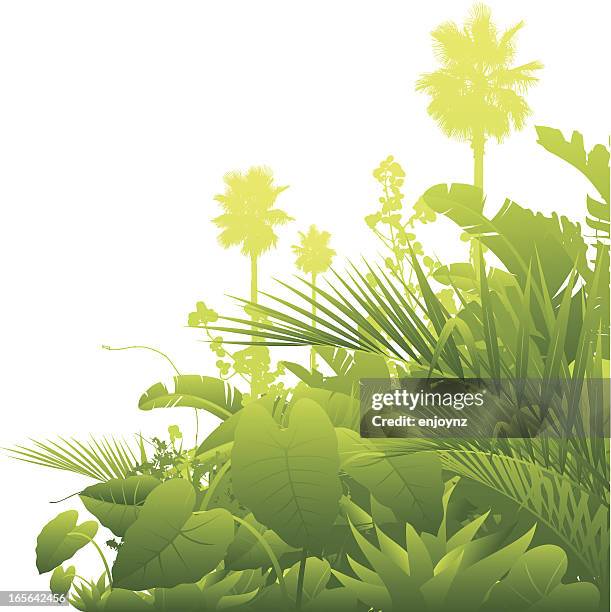 tropical background - overgrown forest stock illustrations