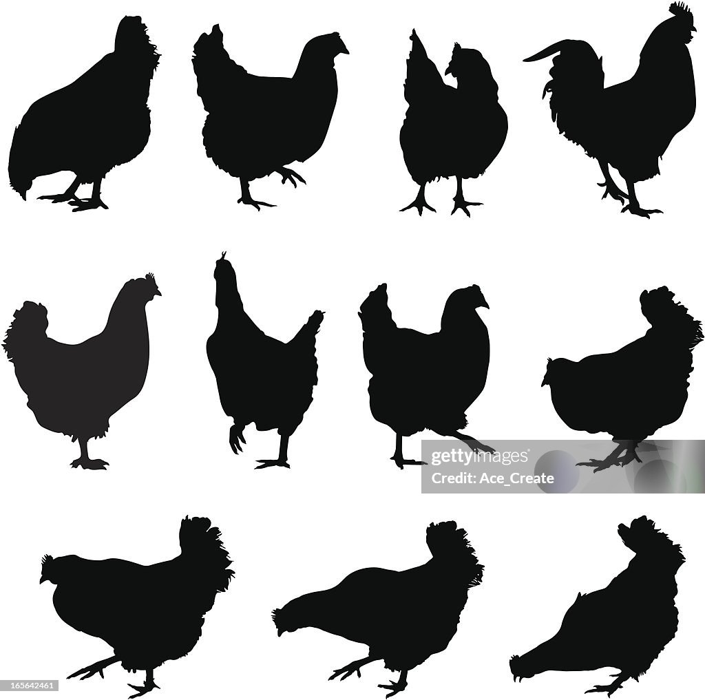 Chicken and cockerel silhouettes