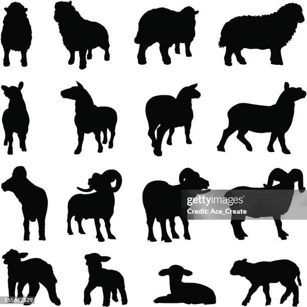sheep silhouette collection - ram stock illustrations
