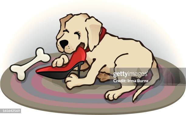 432 Cartoon Dog Bone Photos and Premium High Res Pictures - Getty Images 432 Cartoon Dog Bone Photos and Premium High Res Pictures - Getty Images