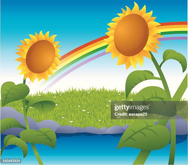 two sunflower - orange rosette stock illustrations