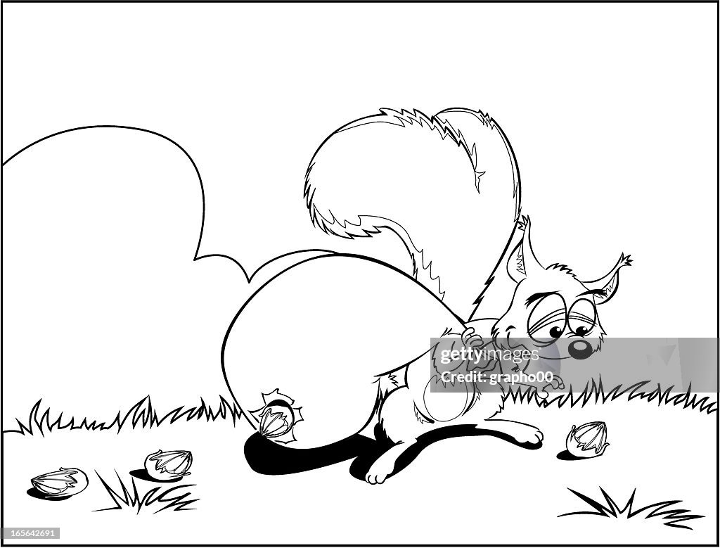 Squirrel.
