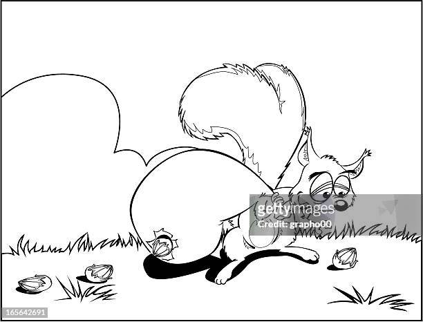squirrel. - bushy stock illustrations
