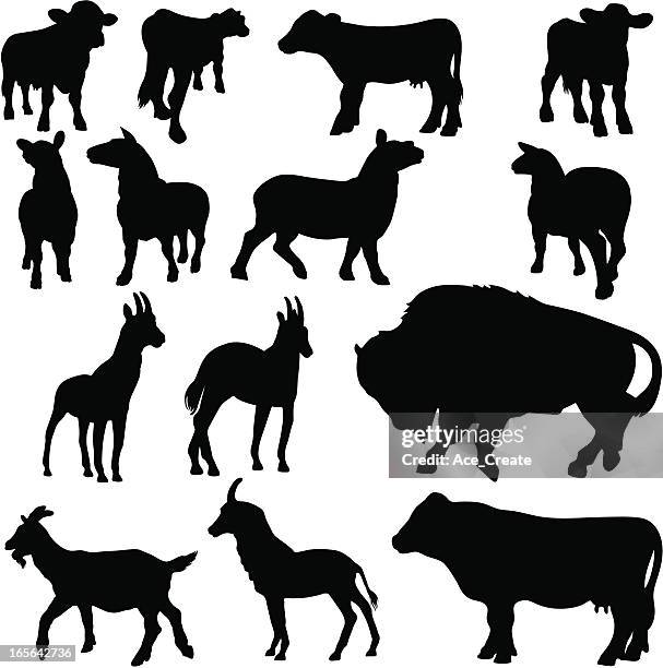 illustrations, cliparts, dessins animés et icônes de animaux collection de produits laitiers silhouette - chevre animal