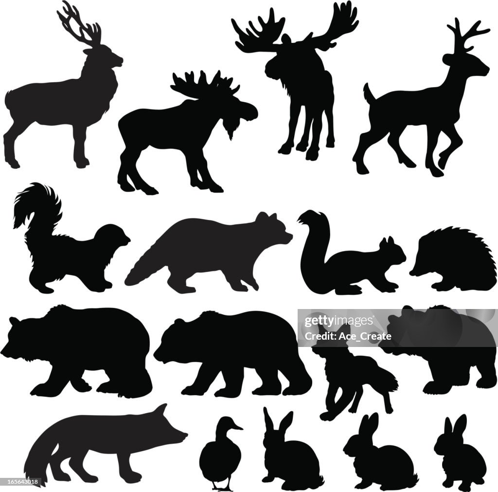 Silhouettes of woodland animals