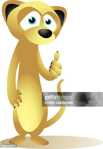 meerkat cartoon - thumbs up! - meerkat vector stock illustrations