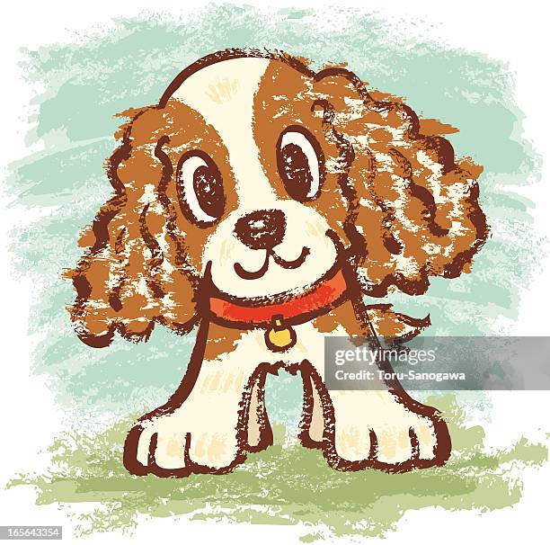 cavalier king charles spaniel - cavalier king charles spaniel stock illustrations