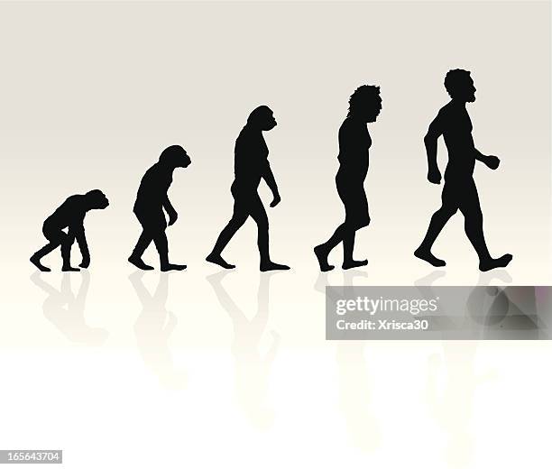 ilustraciones, imágenes clip art, dibujos animados e iconos de stock de ilustración de la evolución humana - evolucion