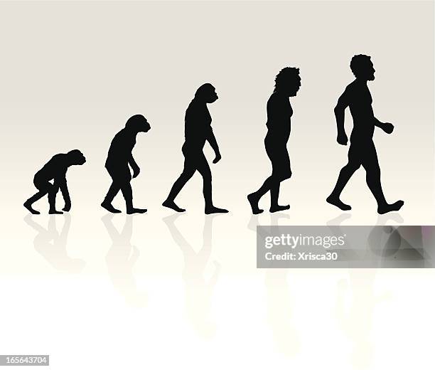 bildbanksillustrationer, clip art samt tecknat material och ikoner med illustration of human evolution - framsteg