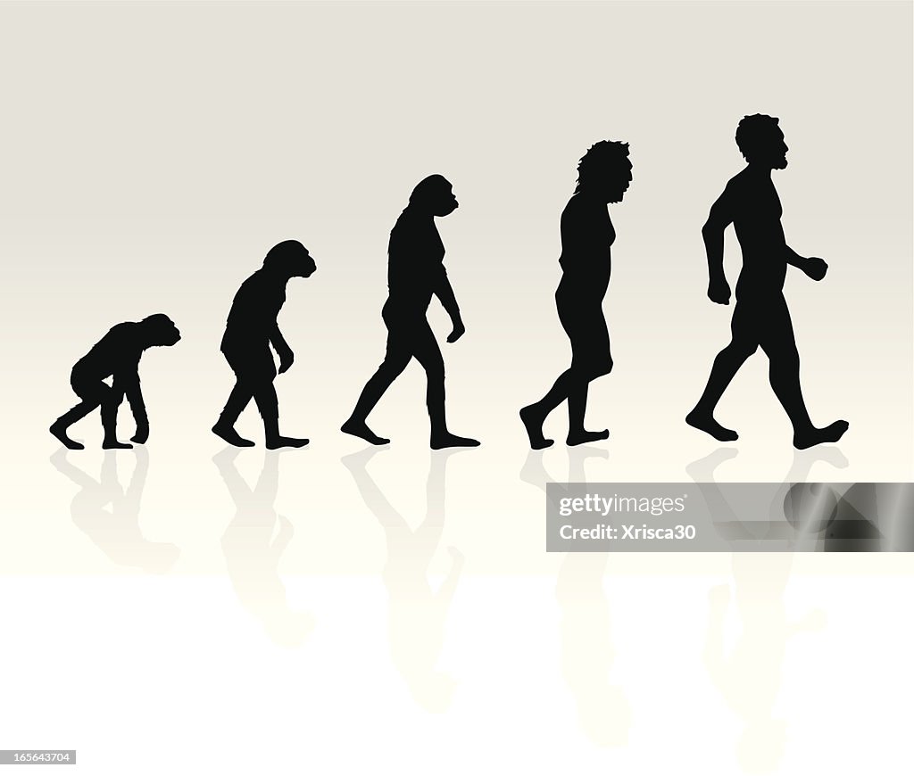 Illustration Of Human Evolution High-Res Vector Graphic - Getty Images