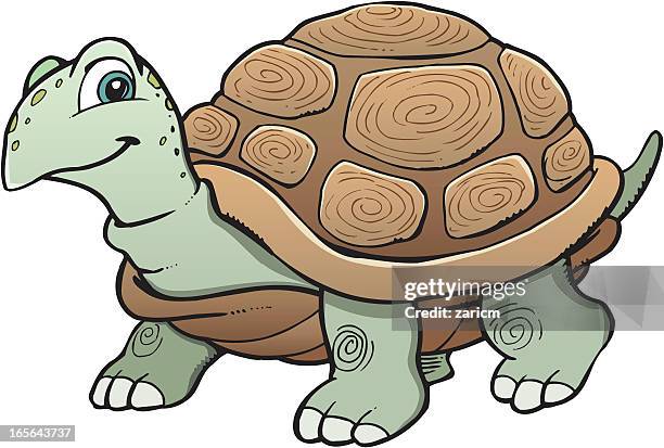turtle - slow motion stock illustrations