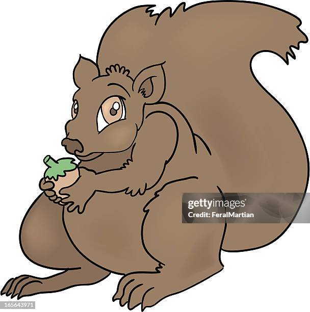 nutty squirrel - foraging stock illustrations