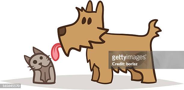 norwich licking a cat. - yorkshire terrier playing stock illustrations