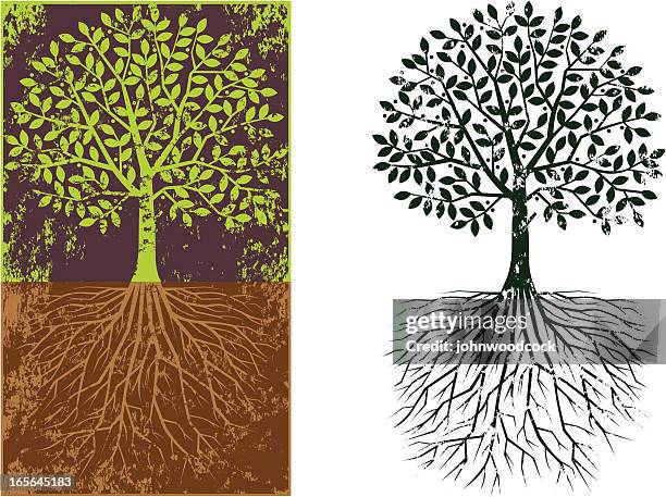 grunge round tree and roots - root stock illustrations