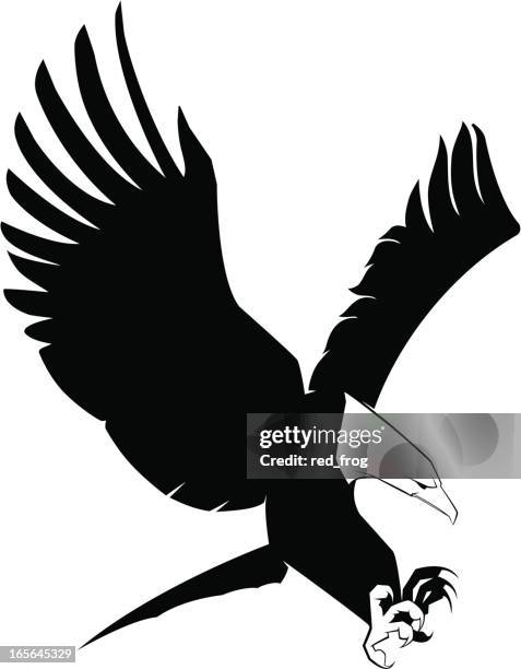 soon eagle - bald eagle flying stock illustrations
