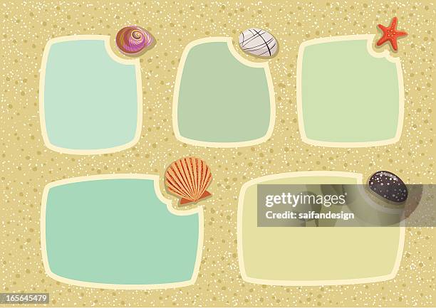 Paua Shell Pattern Vector Paua Shell Vector Photos and Premium High Res Pictures - Getty Images