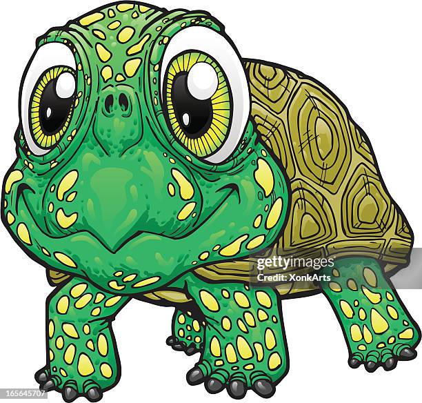 Slow Turtle Cartoon Photos and Premium High Res Pictures - Getty Images