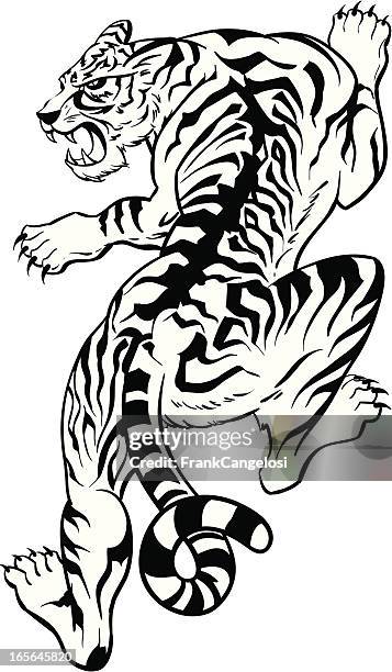 illustrazioni stock, clip art, cartoni animati e icone di tendenza di tigre - tiger