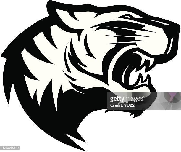 ilustraciones, imágenes clip art, dibujos animados e iconos de stock de cabeza de tigre & w mascot de 2 b - tiger