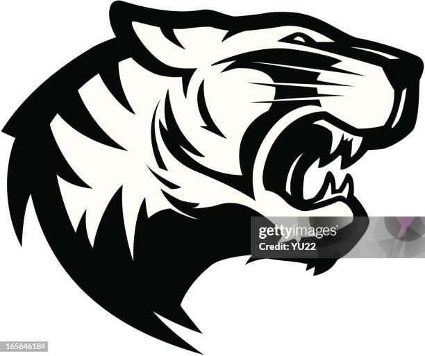 tiger head mascot 2 b&w - snarling stock illustrations