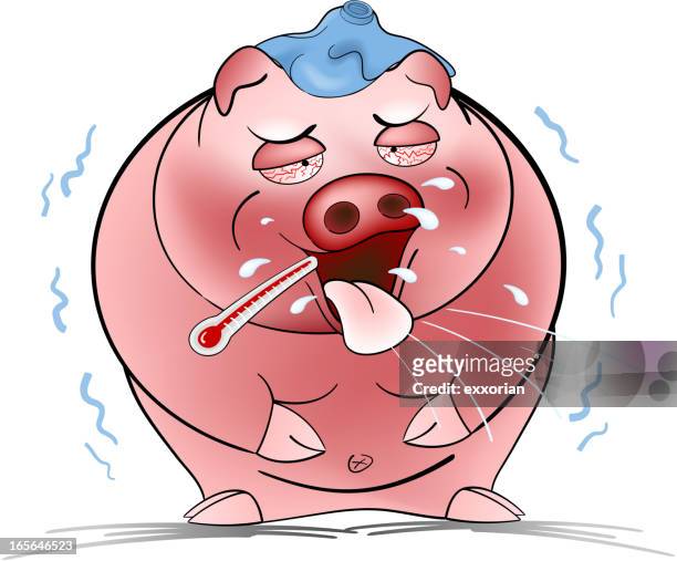 18 Ugly Pig High Res Illustrations - Getty Images