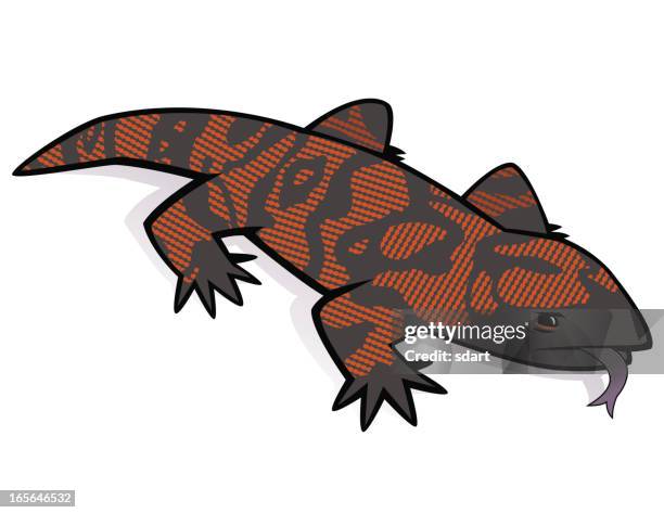 stockillustraties, clipart, cartoons en iconen met gila monster - gilamonster