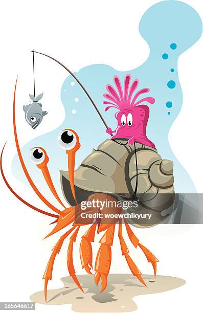 crab - hermit crab stock illustrations