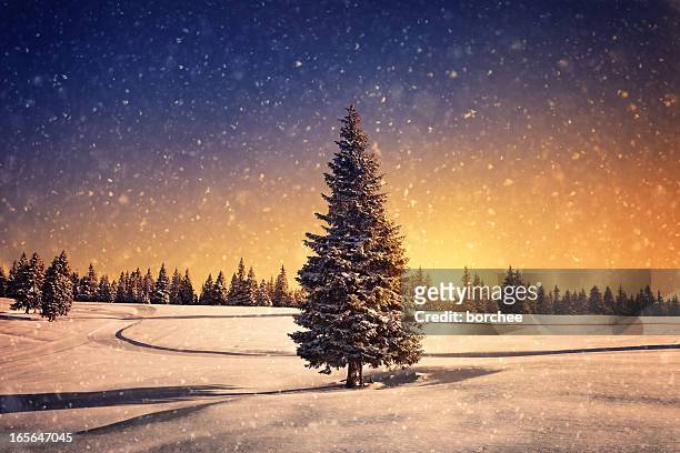winter sunset - winter sunset stock pictures, royalty-free photos & images