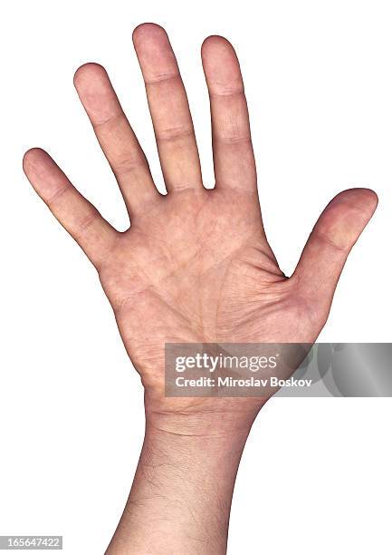 high resolution open human hand palm isolated on white background - zwaaien gebaren stockfoto's en -beelden