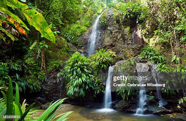 raining at the waterfall - trinidad and tobago stock pictures, royalty-free photos & images