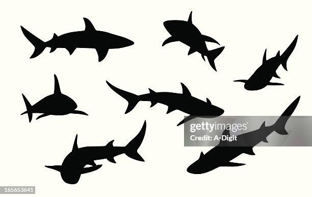sharks vector silhouette - shark stock illustrations