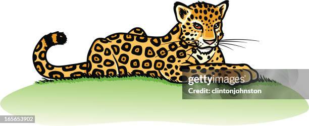young spotted jaguar relaxing - dot camo pattern stock illustrations