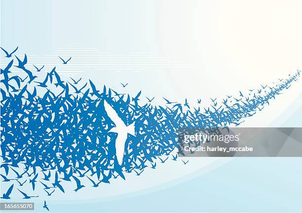 white bird flying against blue bird silhouettes - harley bird stock illustrations