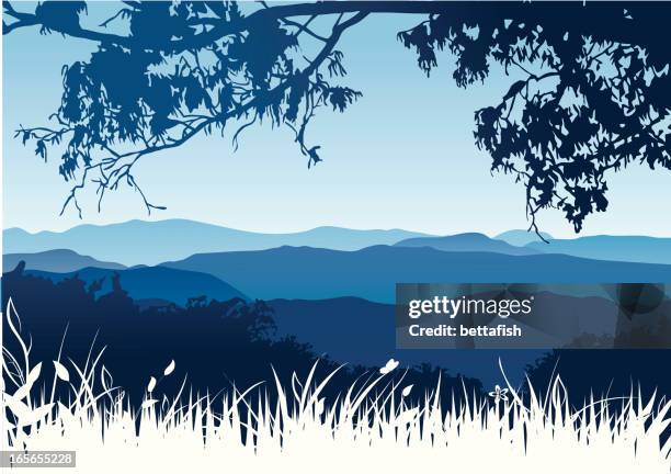 berge-landschaft - tal stock-grafiken, -clipart, -cartoons und -symbole