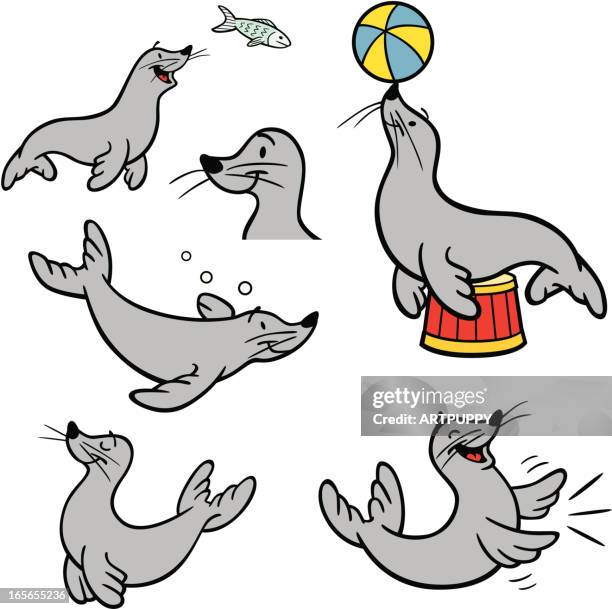 ilustraciones, imágenes clip art, dibujos animados e iconos de stock de junta de circo - león marino