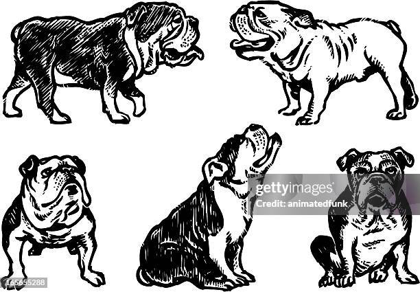 bulldogs skizze - dog happy stock-grafiken, -clipart, -cartoons und -symbole