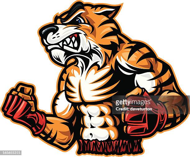 mma fighting tiger - cats fighting stock illustrations