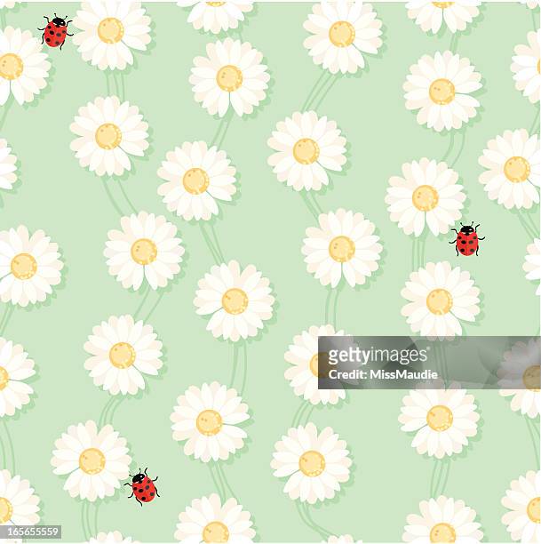 daisy chain and ladybug seamless pattern - daisy chain stock illustrations