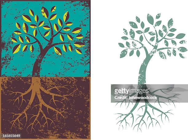 grunge tree and roots. - tree roots stock illustrations