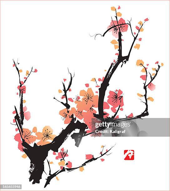 bildbanksillustrationer, clip art samt tecknat material och ikoner med pink blossoms on black branches over a white backdrop - ink wash painting