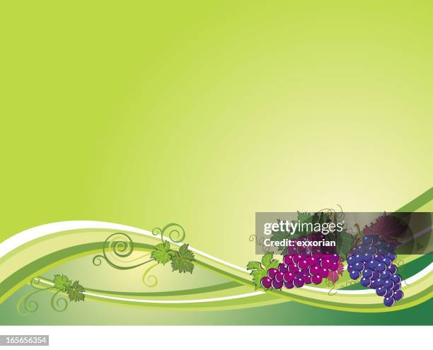 Abstract Grape Vector Abstract Grape Leaves Photos and Premium High Res Pictures - Getty Images
