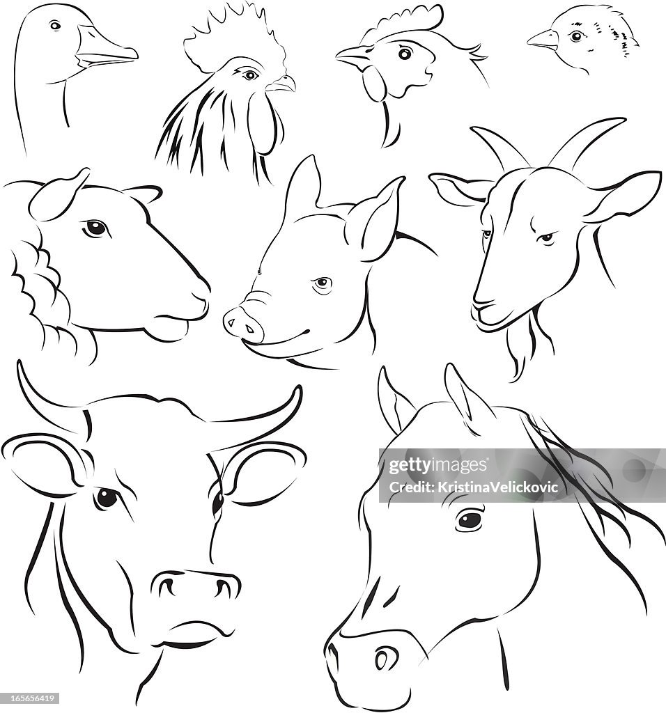 Simple Line Reth Simple Line Drawings Of Animals