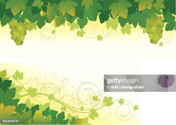 grape vine floral - grape leaf stock illustrations