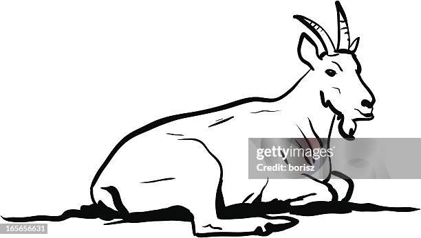 mountain goat - schneeziege stock-grafiken, -clipart, -cartoons und -symbole