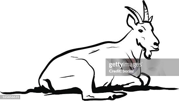 mountain goat - mountain goat stock illustrations