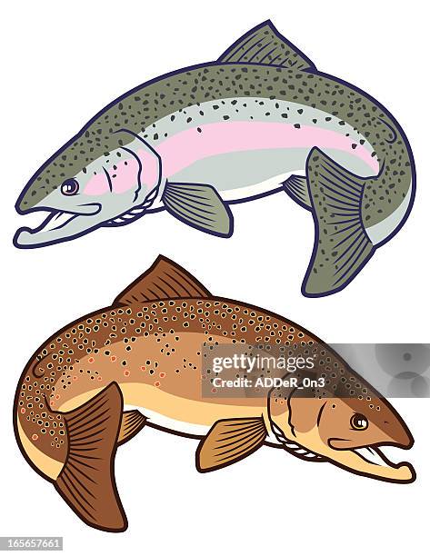 91点のニジマスイラスト素材 Getty Images 91点のニジマスイラスト素材 Getty Images