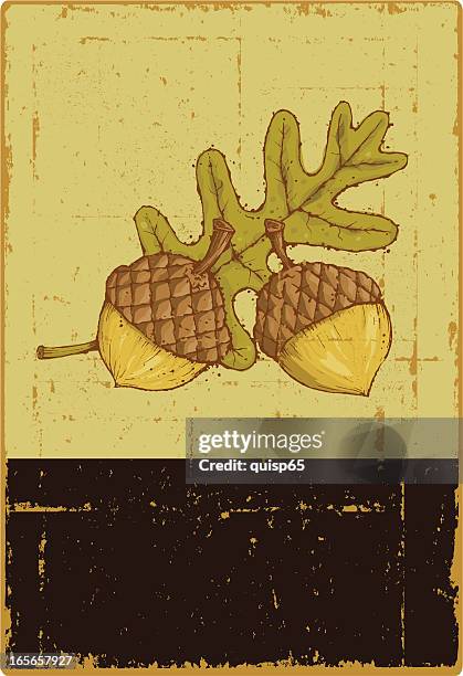 Acorn Sign High-Res Vector Graphic - Getty Images