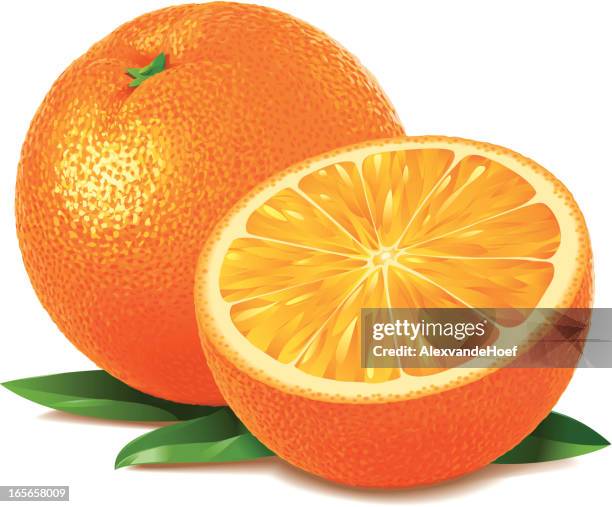 bildbanksillustrationer, clip art samt tecknat material och ikoner med orange - apelsin