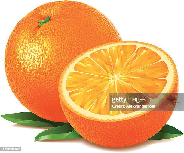 8,368 Orange Fruit High Res Illustrations - Getty Images
