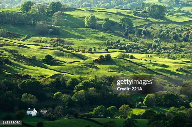 english lake district - uk landscape stock pictures, royalty-free photos & images